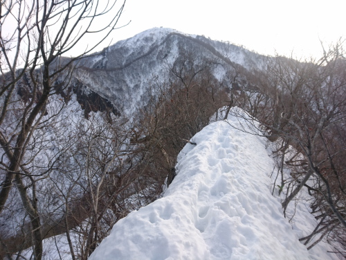米山3.jpg