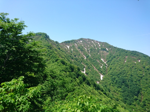 米山5.jpg