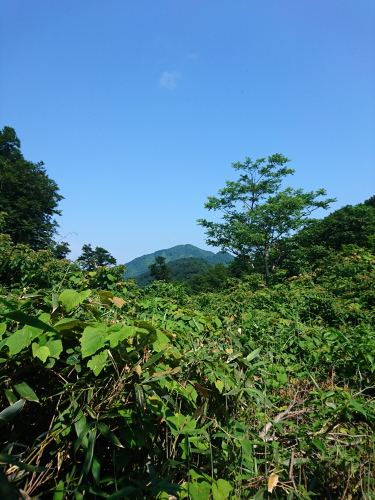 米山7.jpg