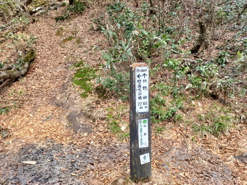 菱ヶ岳1.jpg