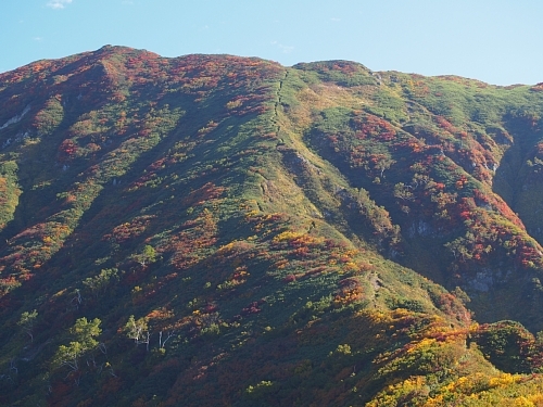 中ノ岳4.jpg