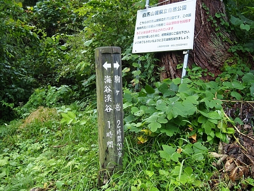 海谷駒ケ岳1.jpg