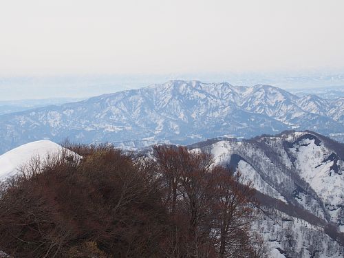 米山8.jpg