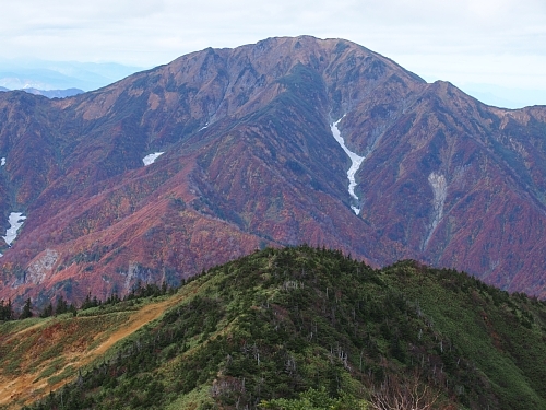 荒沢岳12.jpg