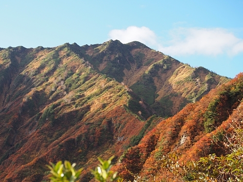 荒沢岳7.jpg